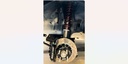 Hexon import image 8